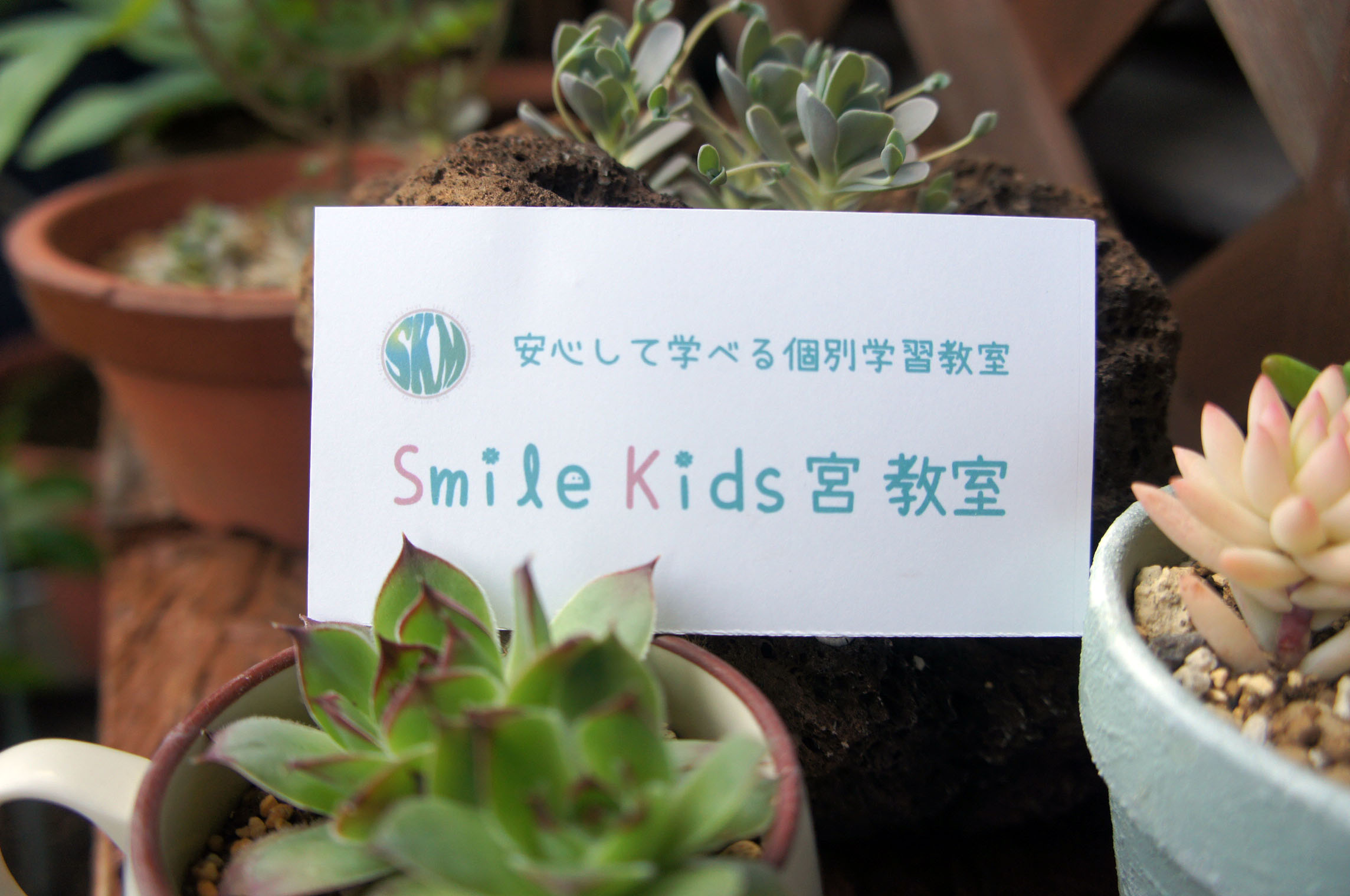 Welcome To Smile Kids Miya！